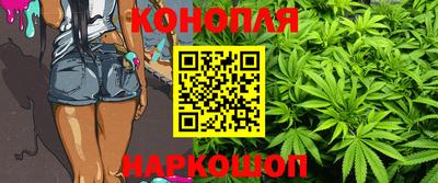 шишки Пыть-Ях