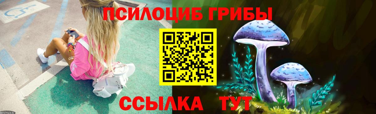 Псилоцибиновые грибы мицелий Урюпинск