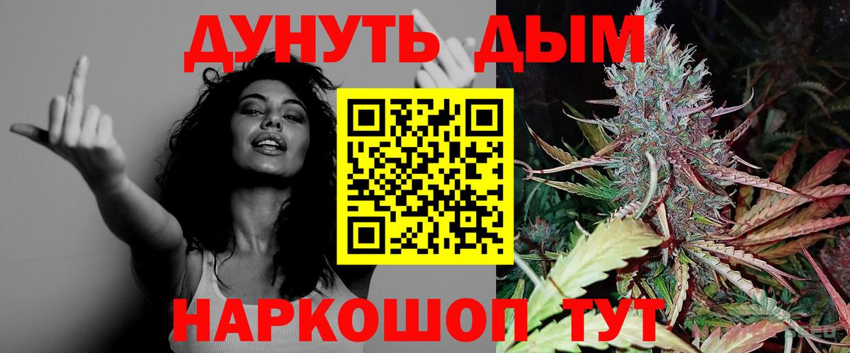 Бошки Шишки планчик Урюпинск